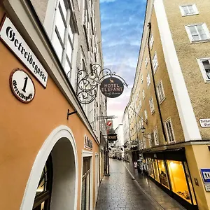 Elefant Family Business 2*, Salzburg Avusturya